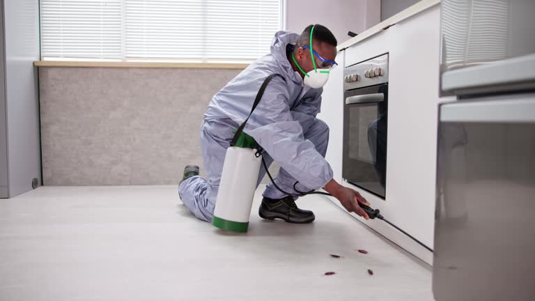 Best Pest Exclusion Services  in Superior, AZ